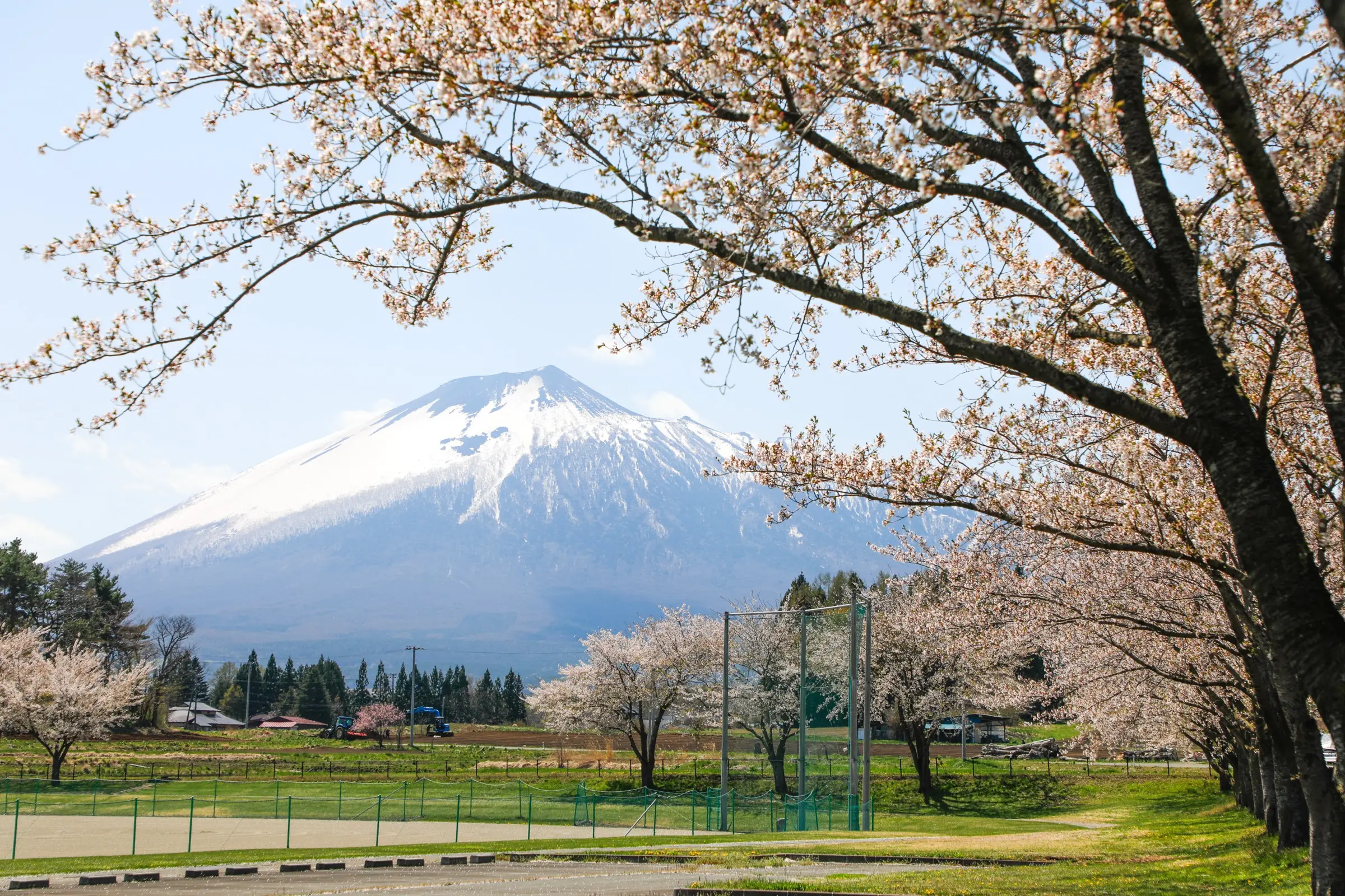 春の桜と山並みが広がる八幡平の風景
